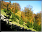 foto Parco Wilhelmshöhe in Autunno